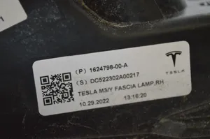 Tesla Model 3 Nebelscheinwerfer vorne 162479800A