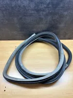 Volkswagen Golf IV Front door rubber seal 1J3867366C