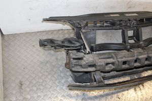 Volkswagen PASSAT B6 Radiatorių panelė (televizorius) 3C0010409J