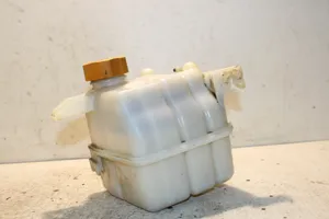 Chevrolet Captiva Coolant expansion tank/reservoir 95025829