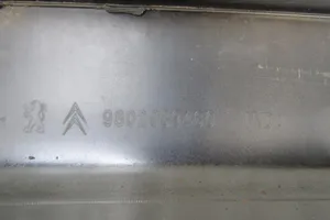 Peugeot 208 Etukynnys (korin osa) 9802939480