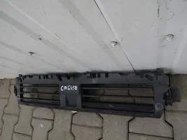 Audi A4 S4 B9 8W Radiatoru dekoratīvā apdare 8W0807298