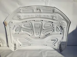 Audi A7 S7 4K8 Engine bonnet/hood 