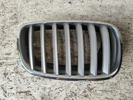 BMW X6 E71 Front bumper upper radiator grill BMW