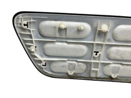 Citroen C4 Cactus Moulure de porte avant 9801023480