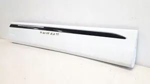 Audi Q8 Front door trim (molding) 