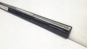 Mercedes-Benz S W220 Front door trim (molding) 