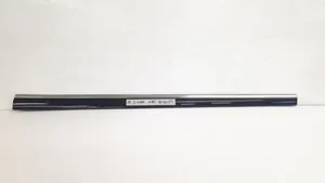 Mercedes-Benz S W220 Front door trim (molding) 