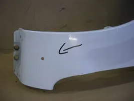 Ford Focus Fender 