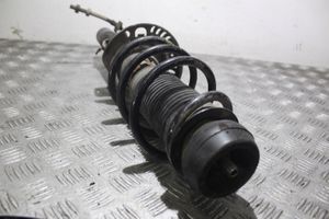 Seat Toledo IV (NH) Front shock absorber with coil spring 