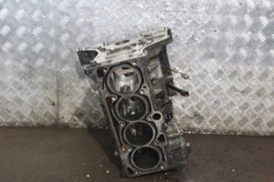 Skoda Octavia Mk2 (1Z) Blok silnika 06B103019