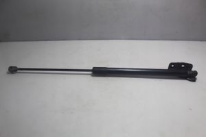 Ford Focus Tailgate hydraulic set 