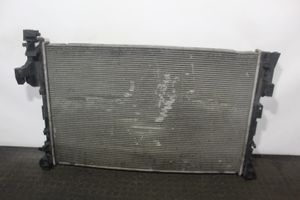 Opel Vivaro Coolant radiator D7R061TT