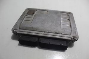 Volkswagen Polo Komputer / Sterownik ECU silnika 5WP4016303