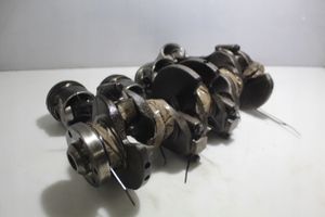 Volkswagen Golf VI Crankshaft 