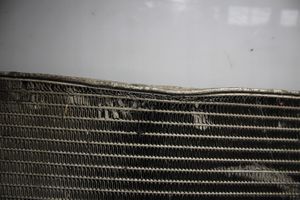 Audi A3 S3 8P Radiateur de refroidissement 