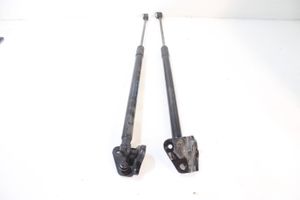 Ford Focus Tailgate hydraulic set 