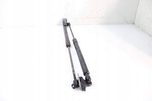 Ford B-MAX Tailgate hydraulic set 