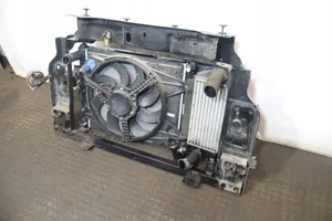 Lancia Ypsilon Dangtis variklio (kapotas) 