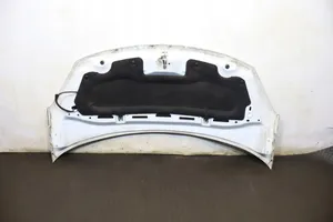 Citroen C3 Engine bonnet/hood 