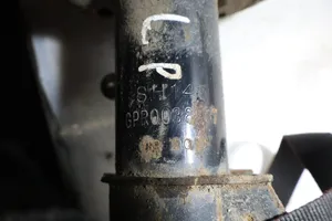 Opel Insignia A Front shock absorber with coil spring 