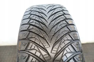 Renault Scenic II -  Grand scenic II R15 winter tire 