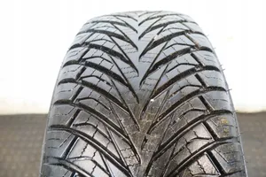 Renault Scenic II -  Grand scenic II R15 winter tire 