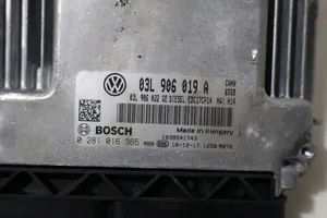 Seat Exeo (3R) Motora vadības bloka ECU 0281016365