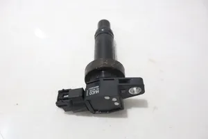 KIA Ceed High voltage ignition coil 134035