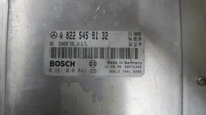 Mercedes-Benz E W210 Calculateur moteur ECU A0225458132