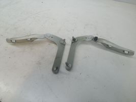 Ford C-MAX I Engine bonnet/hood hinges 3M5116800AJ