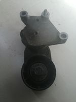 Ford C-MAX I Tendicinghia generatore/alternatore 