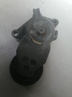 Ford C-MAX I Tendicinghia generatore/alternatore 