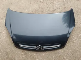 Citroen Xsara Picasso Motorhaube 