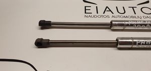 Volkswagen Phaeton Tailgate/trunk strut/damper 3D5827550B