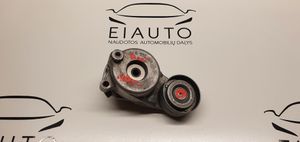 Mercedes-Benz E AMG W212 Napinacz paska wielorowkowego / Alternatora A6422001370