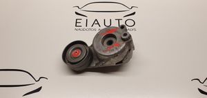 Mercedes-Benz E AMG W212 Napinacz paska wielorowkowego / Alternatora A6422001370