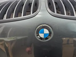 BMW X6 E71 Dangtis variklio (kapotas) 6917364