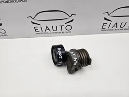 BMW X6 E71 Napinacz paska wielorowkowego / Alternatora 7549873