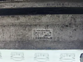 Mercedes-Benz C W204 Set del radiatore A2045001203