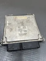 Mercedes-Benz E W212 Sterownik / Moduł ECU A6519007500