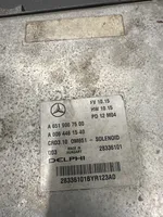 Mercedes-Benz E W212 Calculateur moteur ECU A6519007500