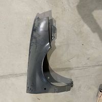 Renault 19 Fender 