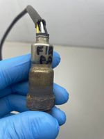 Fiat Panda III Sonde lambda 55214916