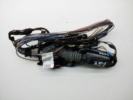 BMW X3 F25 Rear door wiring loom 9243664