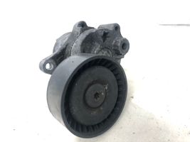 Mercedes-Benz E W211 Napinacz paska wielorowkowego / Alternatora A6112000570