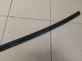 Volvo C30 Front door rubber seal 