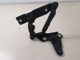 Seat Altea XL Cerniere del vano motore/cofano 5P0823302B