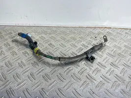 Lexus RC Câble négatif masse batterie 8212C24060B