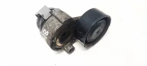 Renault Megane II Napinacz paska alternatora 117503662R